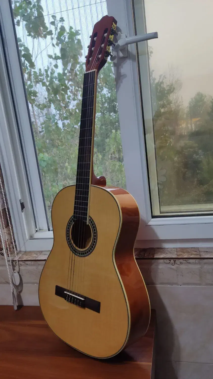 گیتار کلاسیک بنبرگ|گیتار، بیس، امپلیفایر|لشت نشا, |دیوار