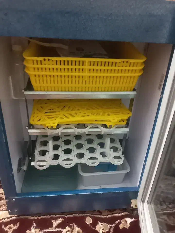 دستگاه جوجه کشی  بلدر چین دماوند|ماشین‌آلات صنعتی|نرماشیر, |دیوار