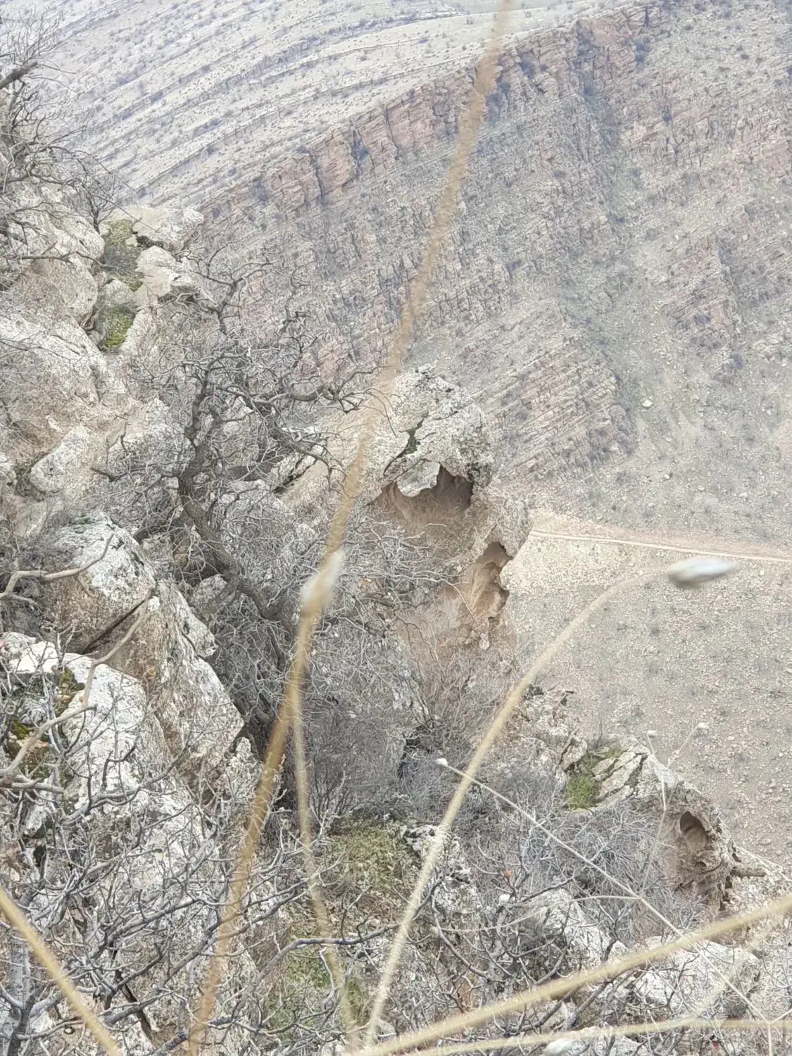 زمین  مسکونی فروشی|فروش زمین و ملک کلنگی|چرداول, |دیوار