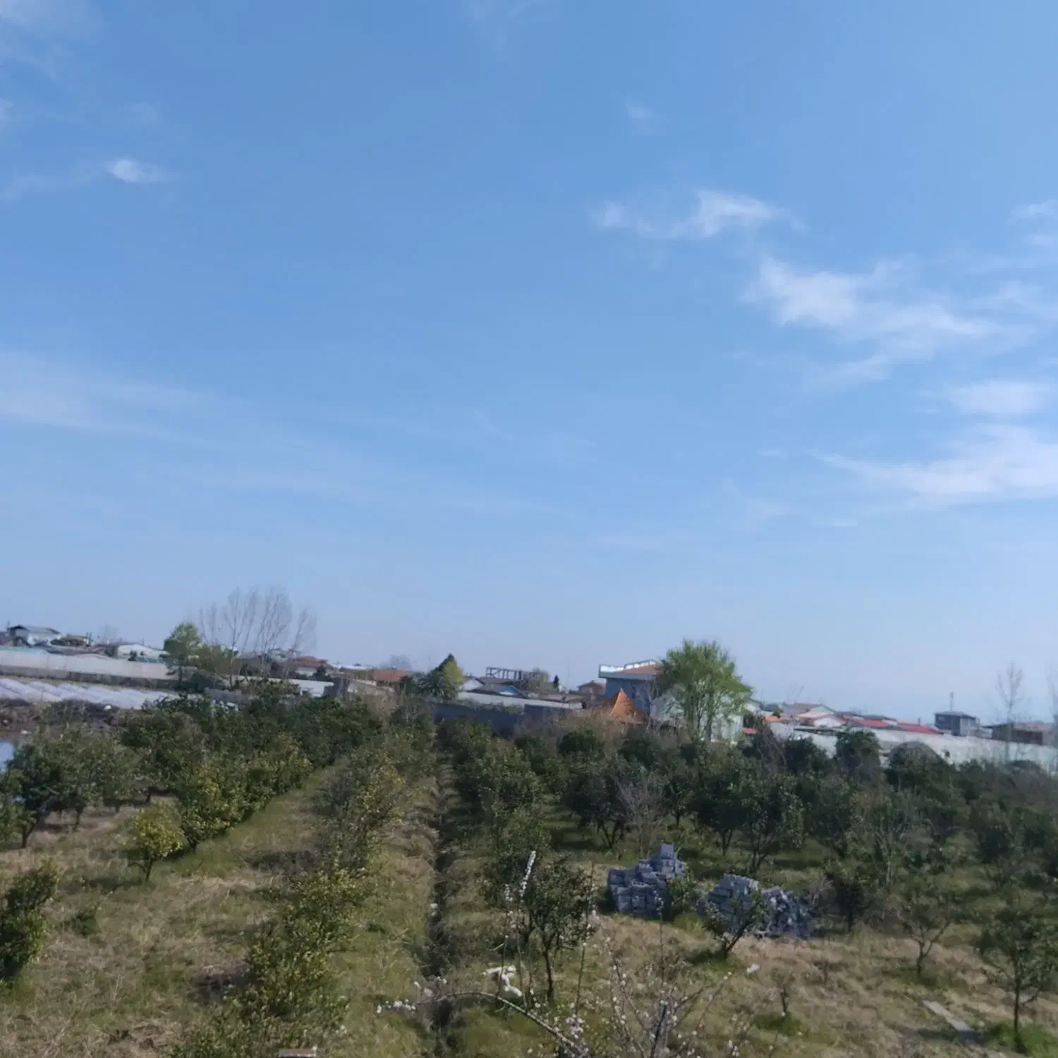 سرمایه گذار جهت پروژه گردشگری7000باغ کنار رودخانه|مشارکت در ساخت املاک|سرخرود, |دیوار