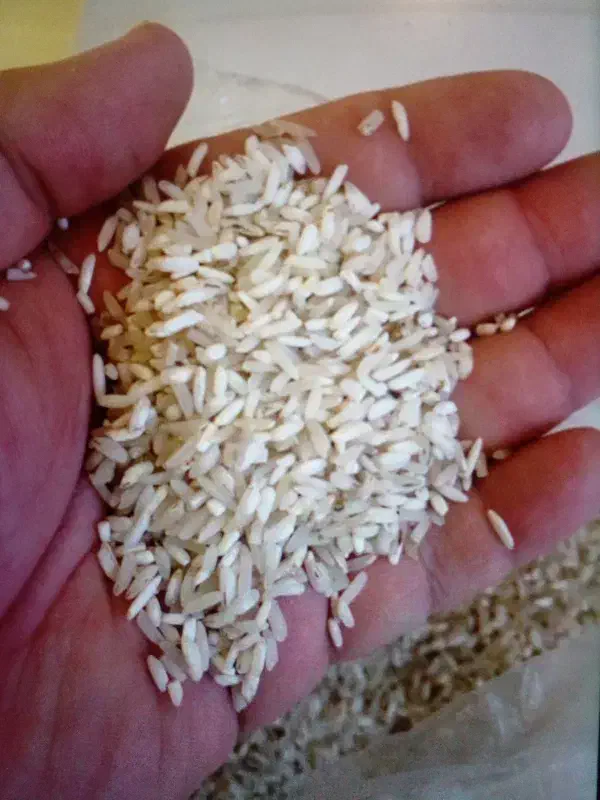 برنج سر لاشه هاشمی|خوردنی و آشامیدنی|تهران, بوستان چیتگر|دیوار