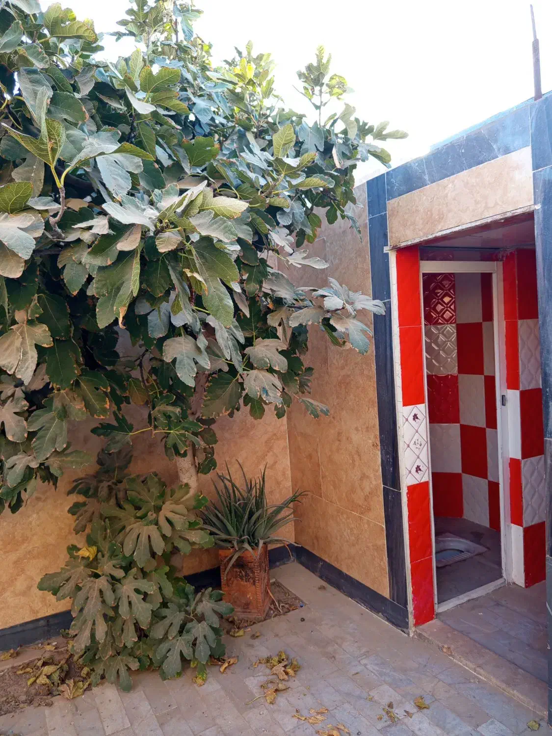 خانه اجاره و رهن|اجارهٔ خانه و ویلا|قنوات, |دیوار