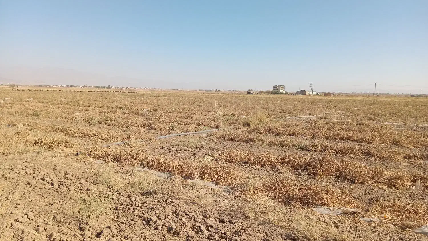 اجاره زمین|اجارهٔ دفتر صنعتی، کشاورزی، تجاری|سامن, |دیوار