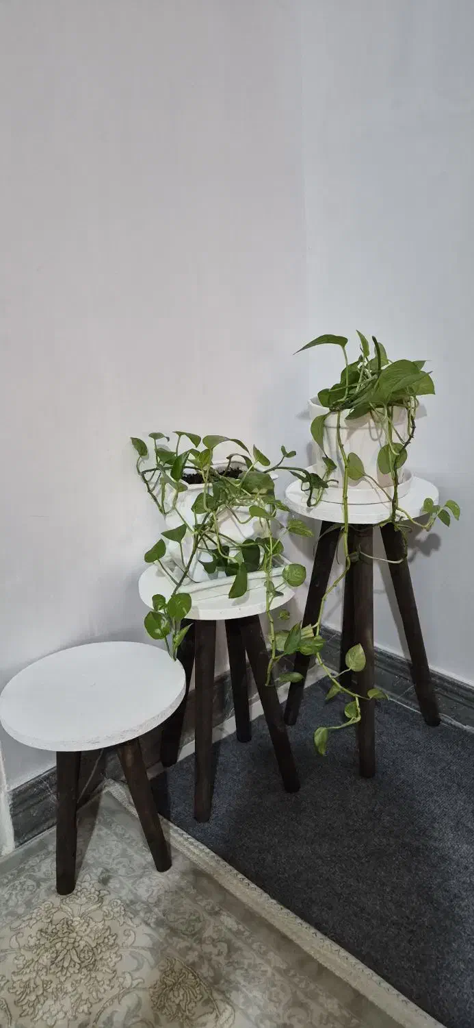 استندنو نو|صندلی و نیمکت|نسیمشهر, |دیوار