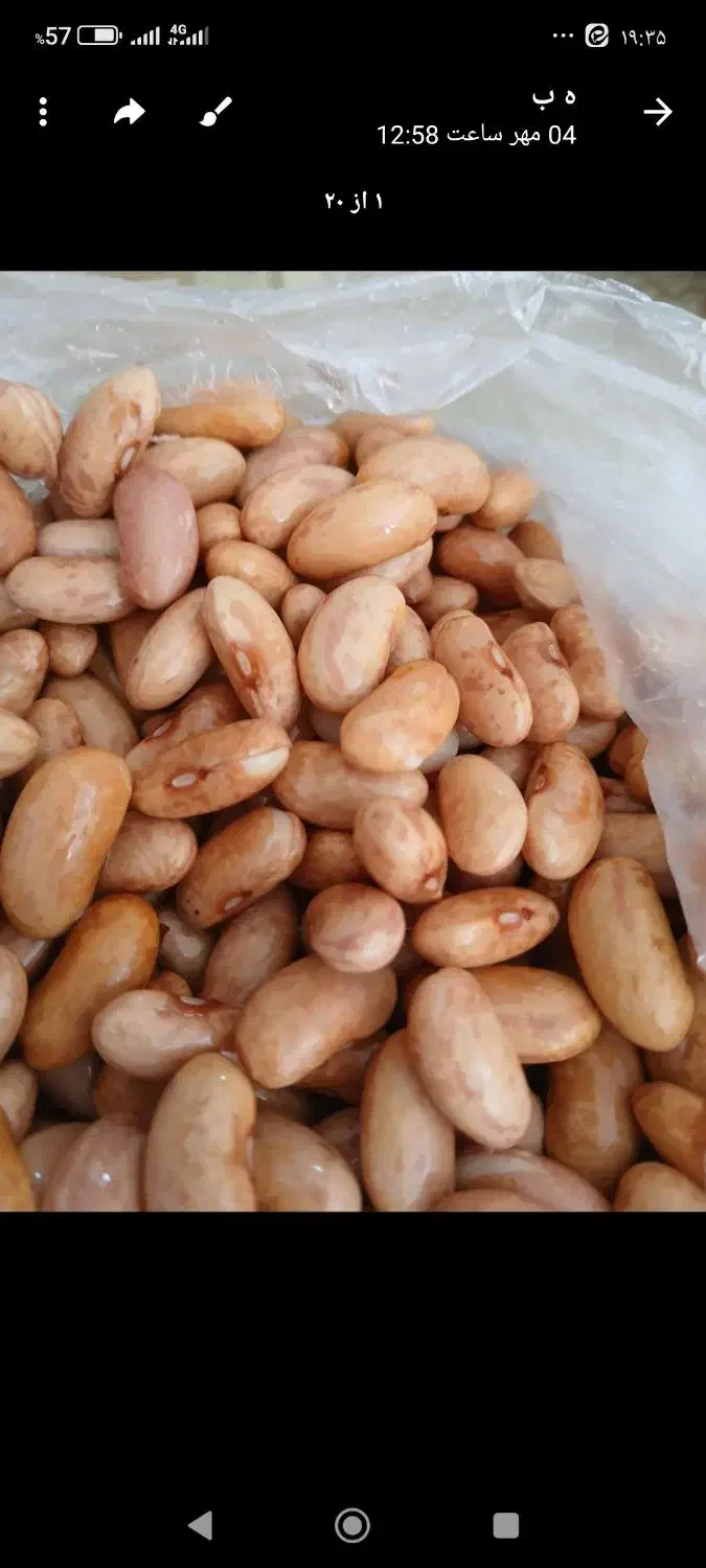 لوبیا چیتی|خوردنی و آشامیدنی|تهران, افسریه جنوبی|دیوار