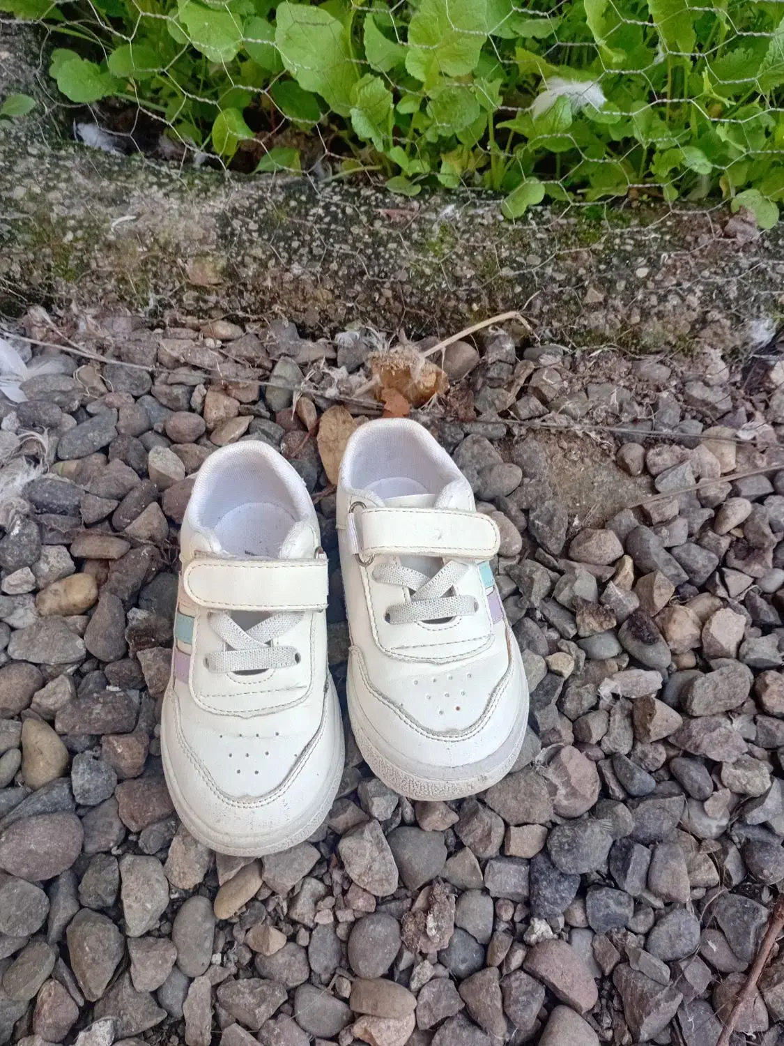 کفش وچکمه بچه گانه|کفش و لباس بچه|لاهیجان, گلستان|دیوار