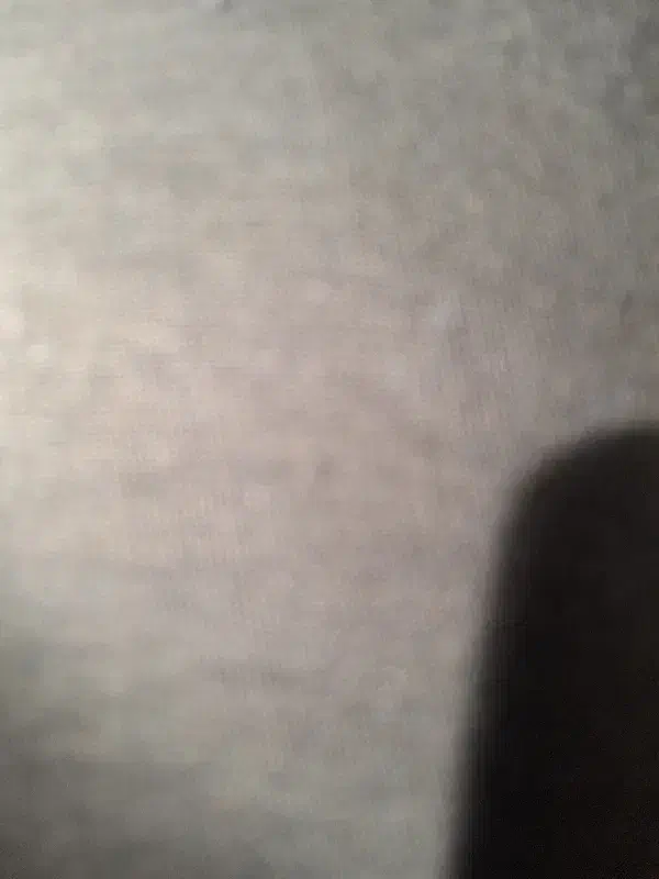 سرمایه گذار|خدمات مالی، حسابداری، بیمه|شهرضا, |دیوار