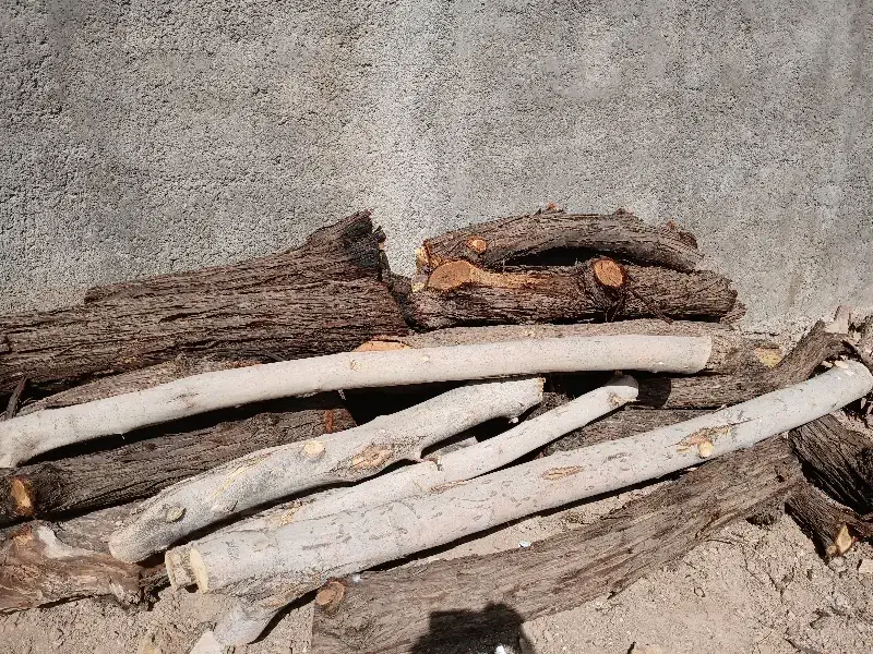 خریدار چوب آلات باغی|خدمات باغبانی و درختکاری|کاخک, |دیوار