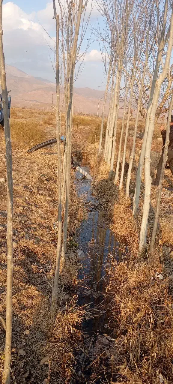 باغ در دیزیج جمشید خان|فروش زمین و ملک کلنگی|خوی, |دیوار