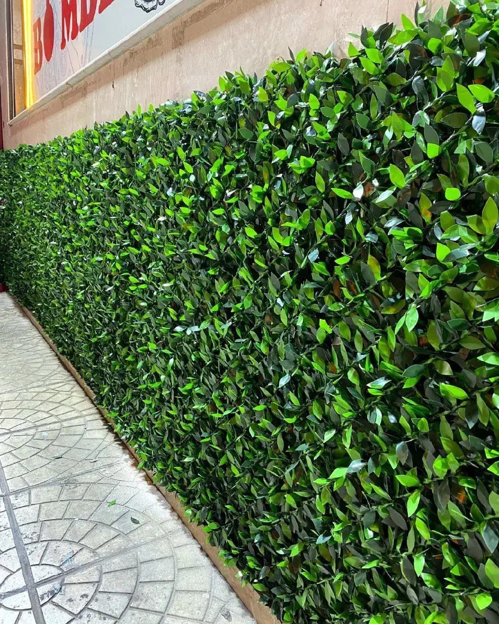 چمن مصنوعی فنس چمنی ترموود (خ فردوسی)|گل مصنوعی|بیرجند, |دیوار