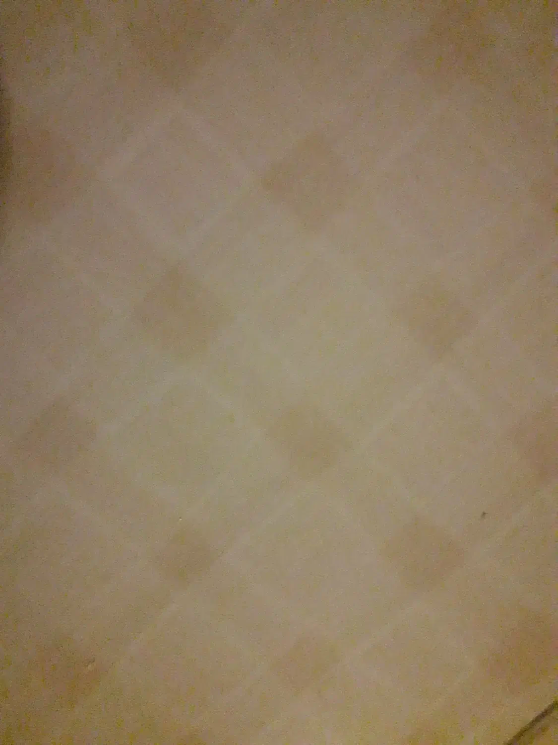 اجاره آپارتمان|اجارهٔ آپارتمان|شیروان (خراسان), |دیوار