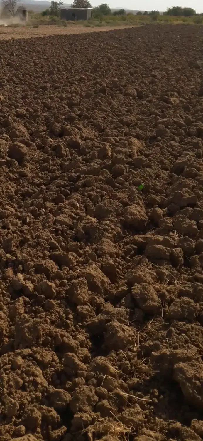 فروش ۳ هزار متر مربع زمین فقط متری ۳۳۰ هزارتومن|فروش زمین و ملک کلنگی|زاویه, |دیوار