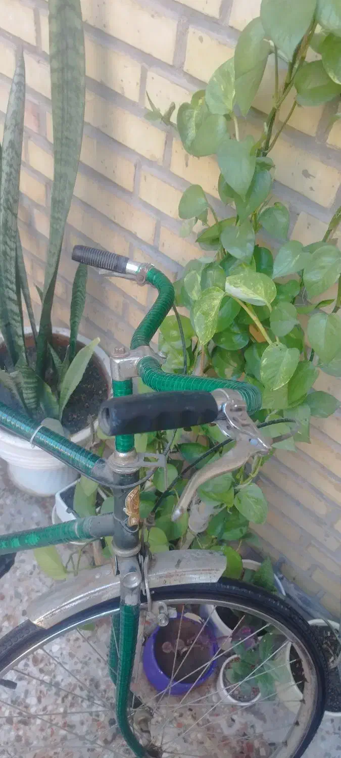 دوچرخه ژاپن اصل|دوچرخه، اسکیت، اسکوتر|اهواز, آسیاباد|دیوار