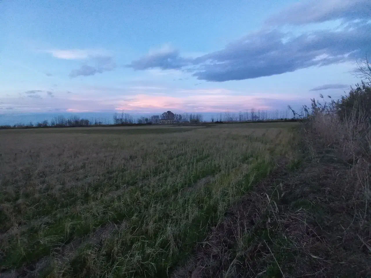 زمین زراعی مزرعه|فروش دفتر صنعتی، کشاورزی، تجاری|لنگرود, |دیوار