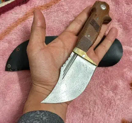 چاقو|کلکسیون و سرگرمی|مشهد, دانش|دیوار