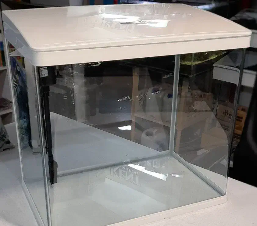 آکواریوم شیشه خم دلسا مدل k500|ماهی|هشتگرد, فاز ۲ مهستان|دیوار