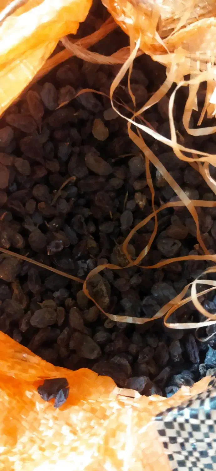 کشمش آفتابی عالی|خوردنی و آشامیدنی|تاکستان, |دیوار