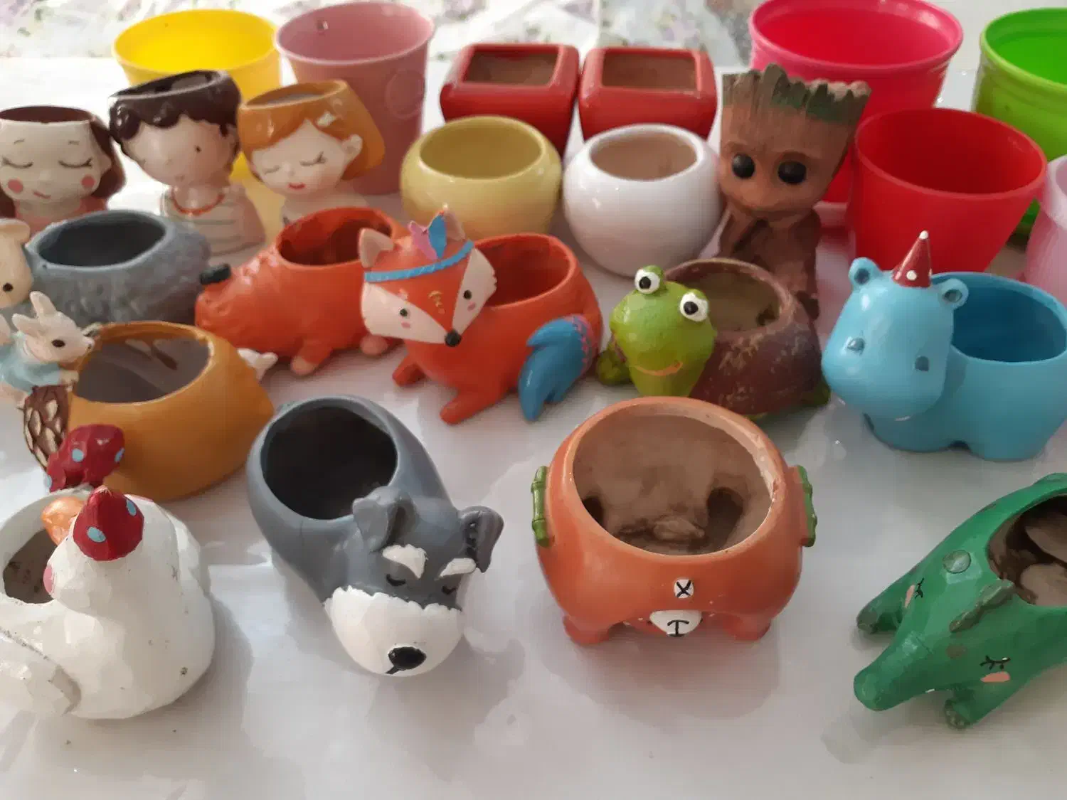 گلدان سرامیکی فانتزی|گل و گیاه طبیعی|تهران, شهرک فرهنگیان|دیوار