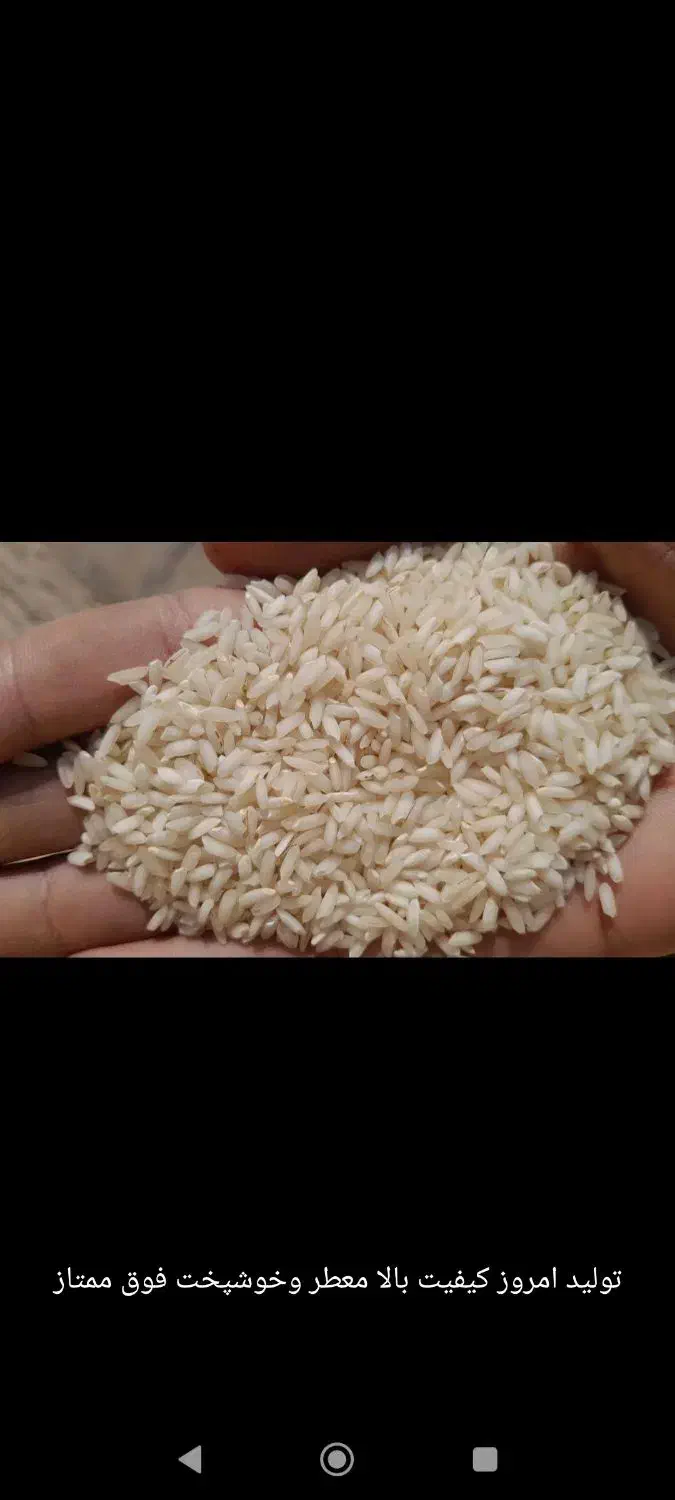 برنج عنبربو|خوردنی و آشامیدنی|کارون, |دیوار