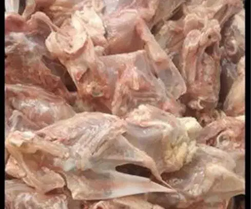 غذای سگ|لوازم جانبی حیوانات|همدان, |دیوار