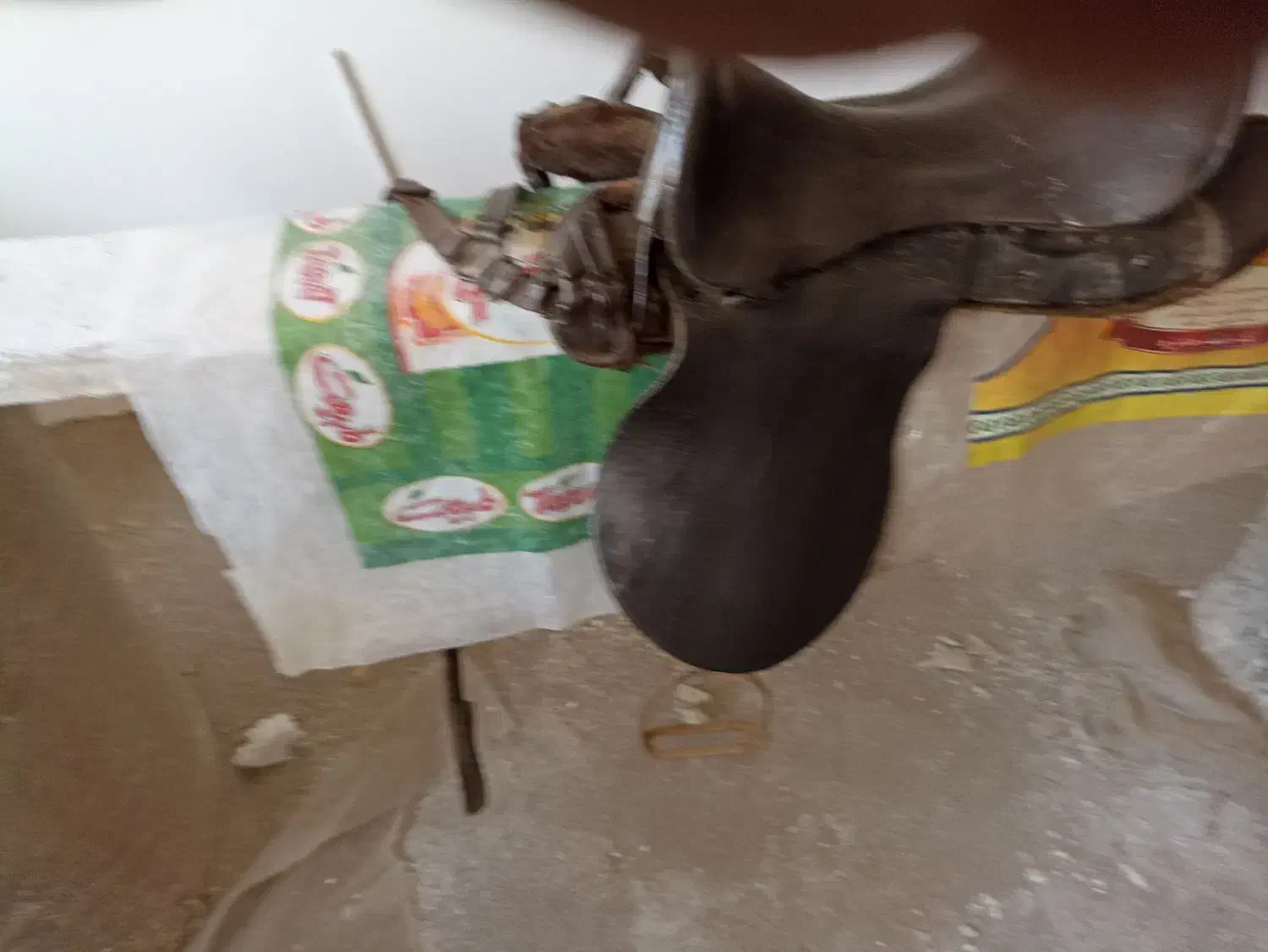 زین اسب|اسب و تجهیزات اسب‌سواری|تبریز, |دیوار