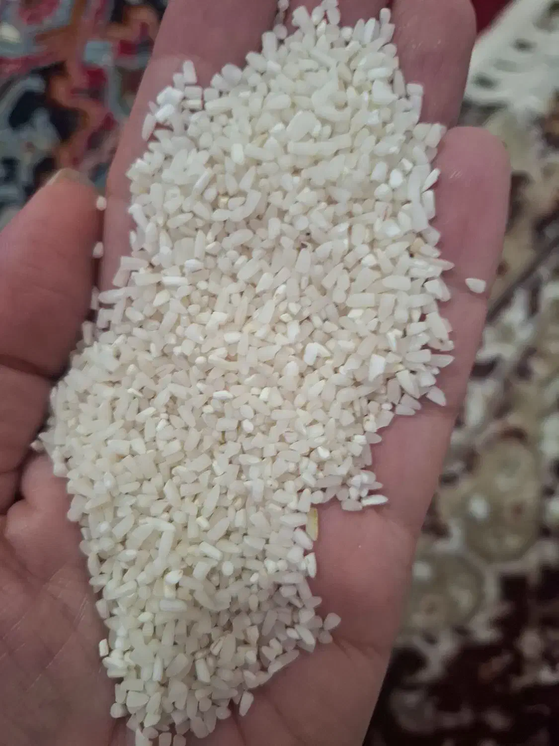 نیم دانه|خوردنی و آشامیدنی|بابل, |دیوار