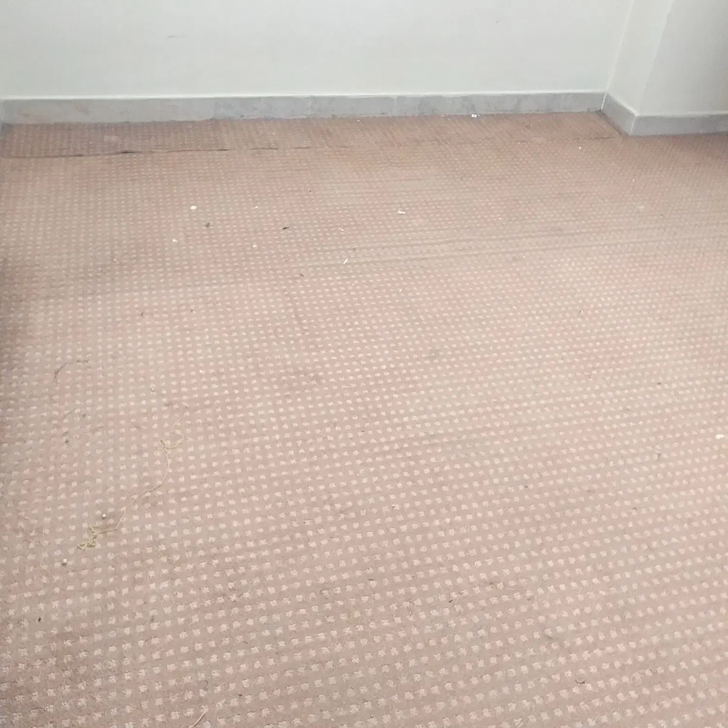 حدود ۲۲متر موکت کارکرده|موکت|اصفهان, امامزاده اسماعیل|دیوار