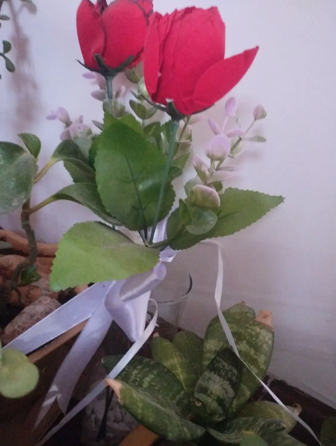 پک کامل آزمون استخدامی آموزش وپرورش (خدماتی)|کتاب و مجله آموزشی|کرمان, |دیوار