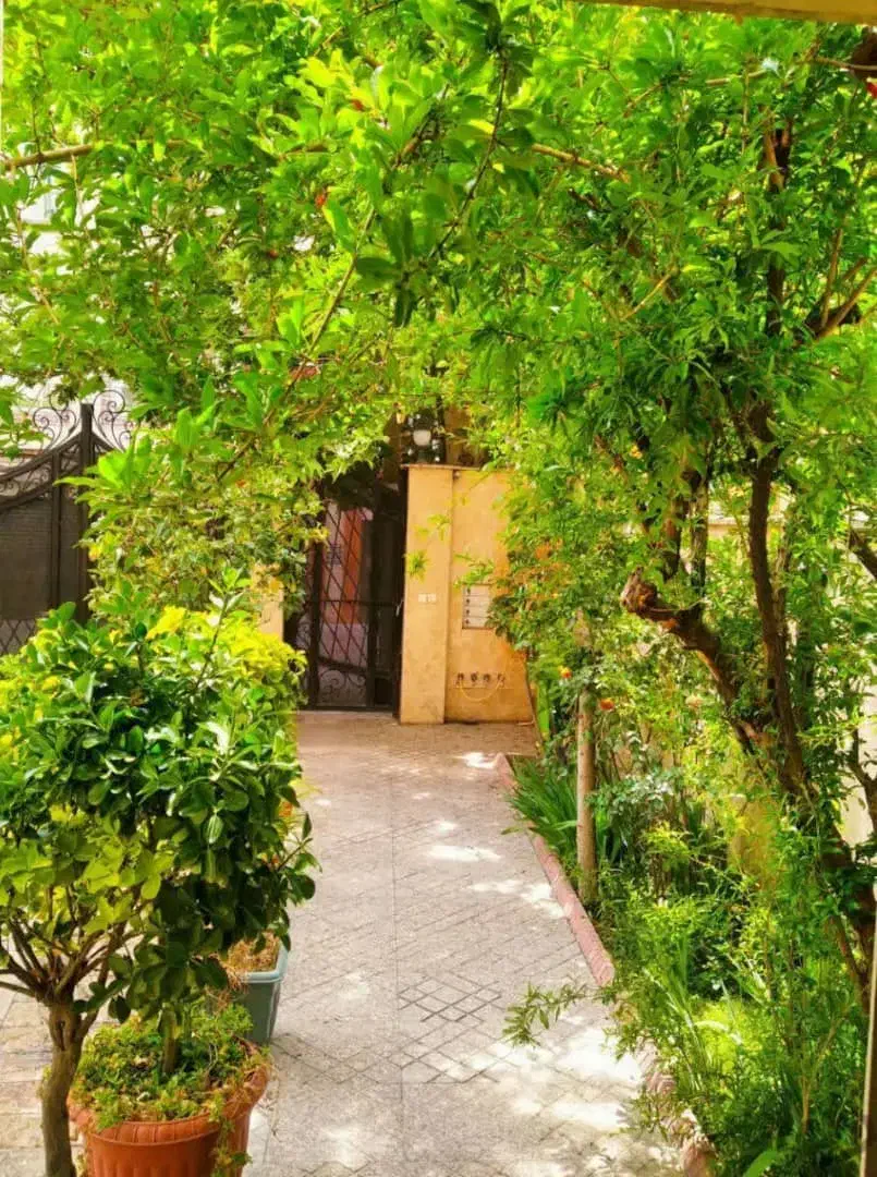 ۱۰۰ متر کلنگی|فروش زمین و ملک کلنگی|تهران, تسلیحات|دیوار