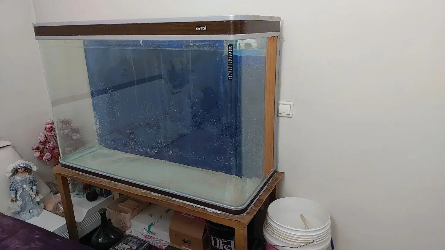 آکواریوم شیشه خم ماهیران بک سامپ|ماهی|قزوین, |دیوار