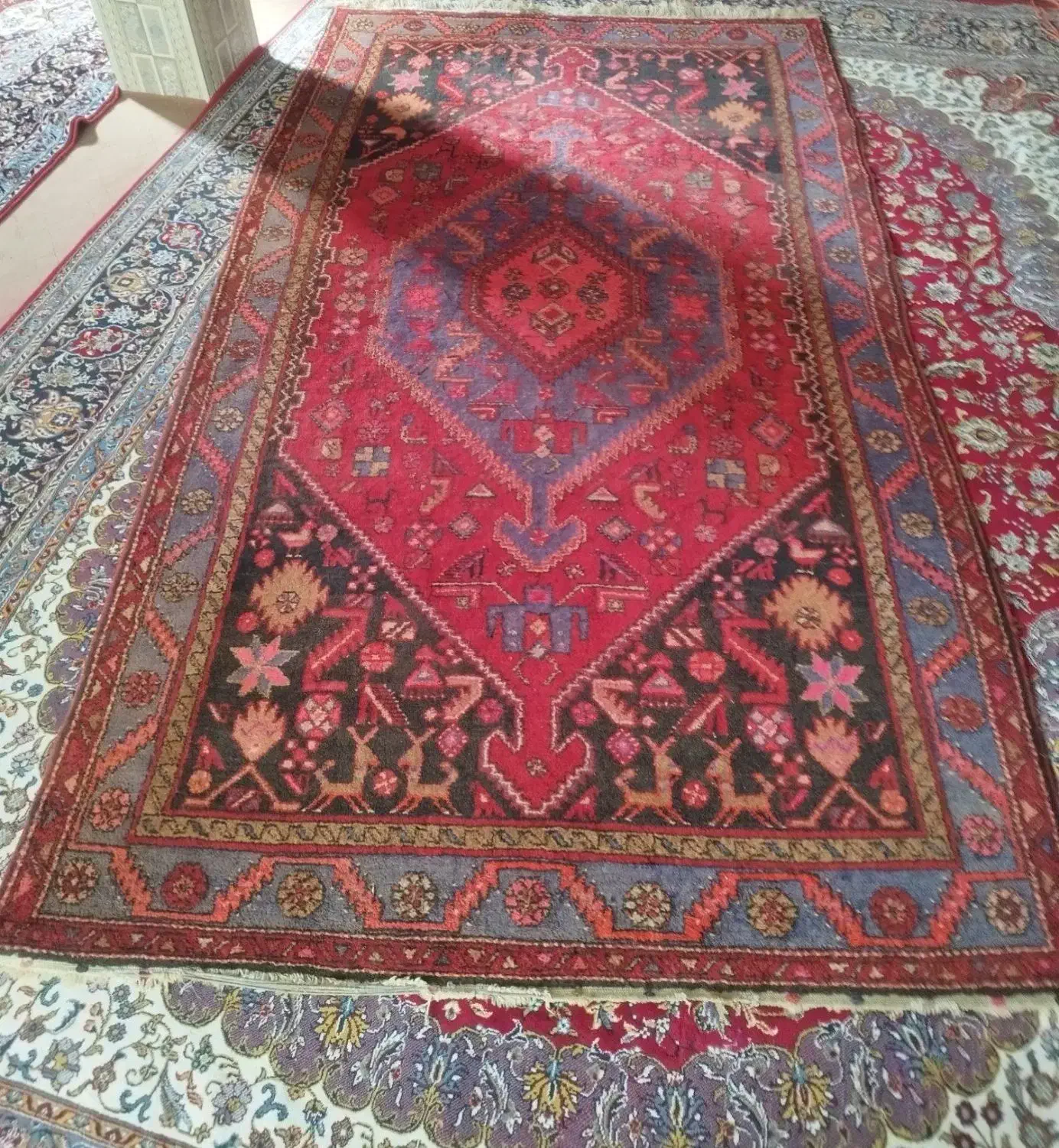 فرش دستبافت|فرش|زنجان, |دیوار