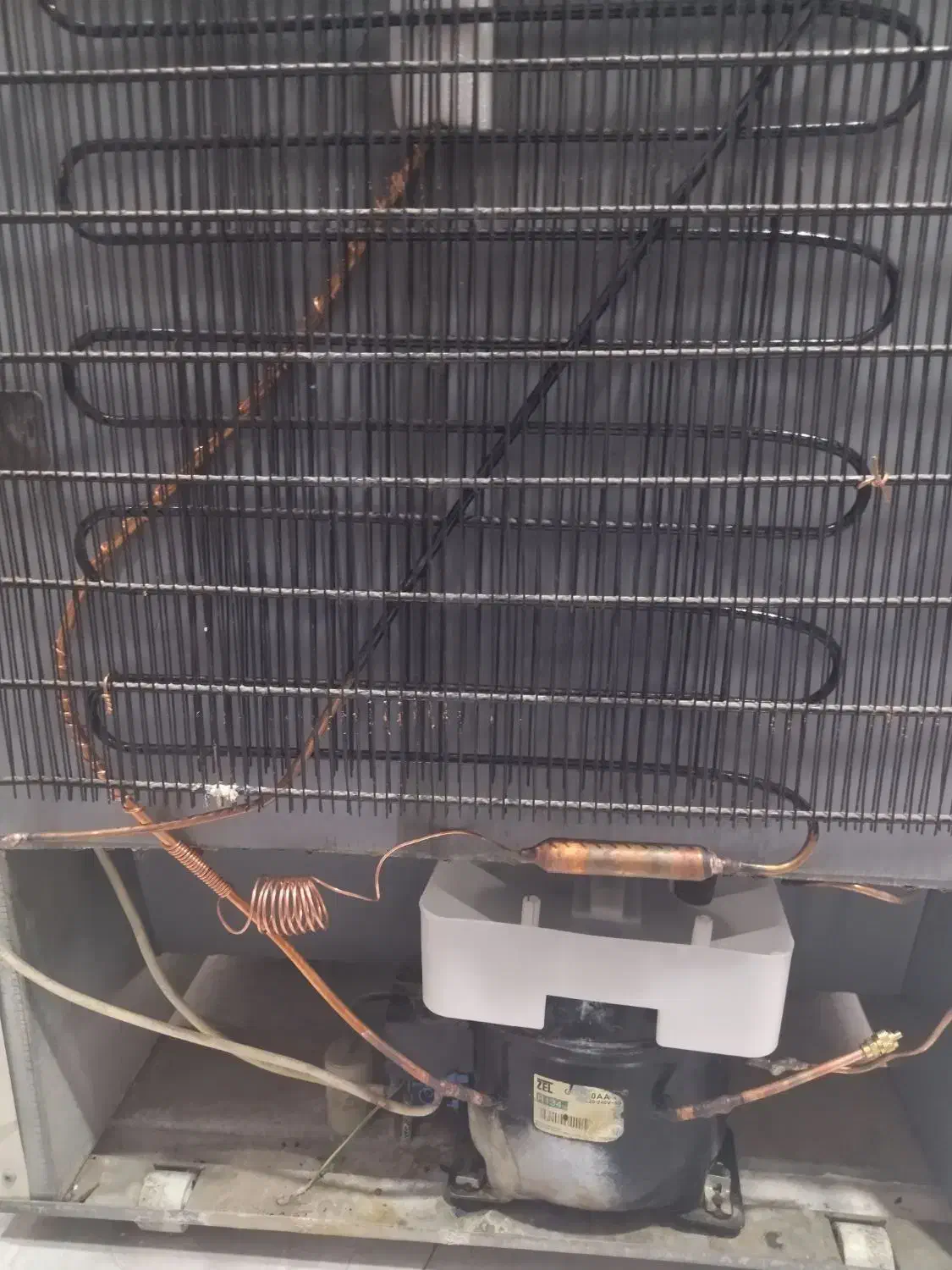 شارژ گاز و تعمیرات انواع یخچال فریزر در محل|خدمات پیشه و مهارت|شیراز, دشت چنار|دیوار