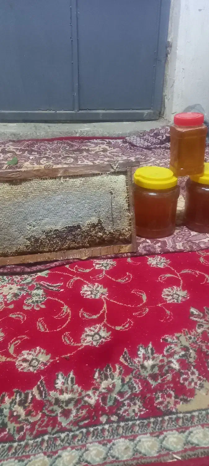 فروش عسل کاملا طبیعی تضمینی|خوردنی و آشامیدنی|صوفیان, |دیوار