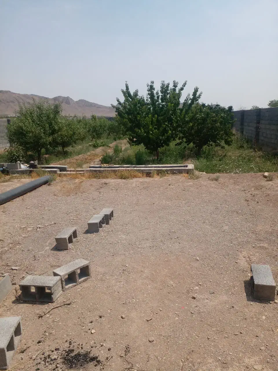 باغ در علویجه|فروش زمین و ملک کلنگی|دهق, |دیوار