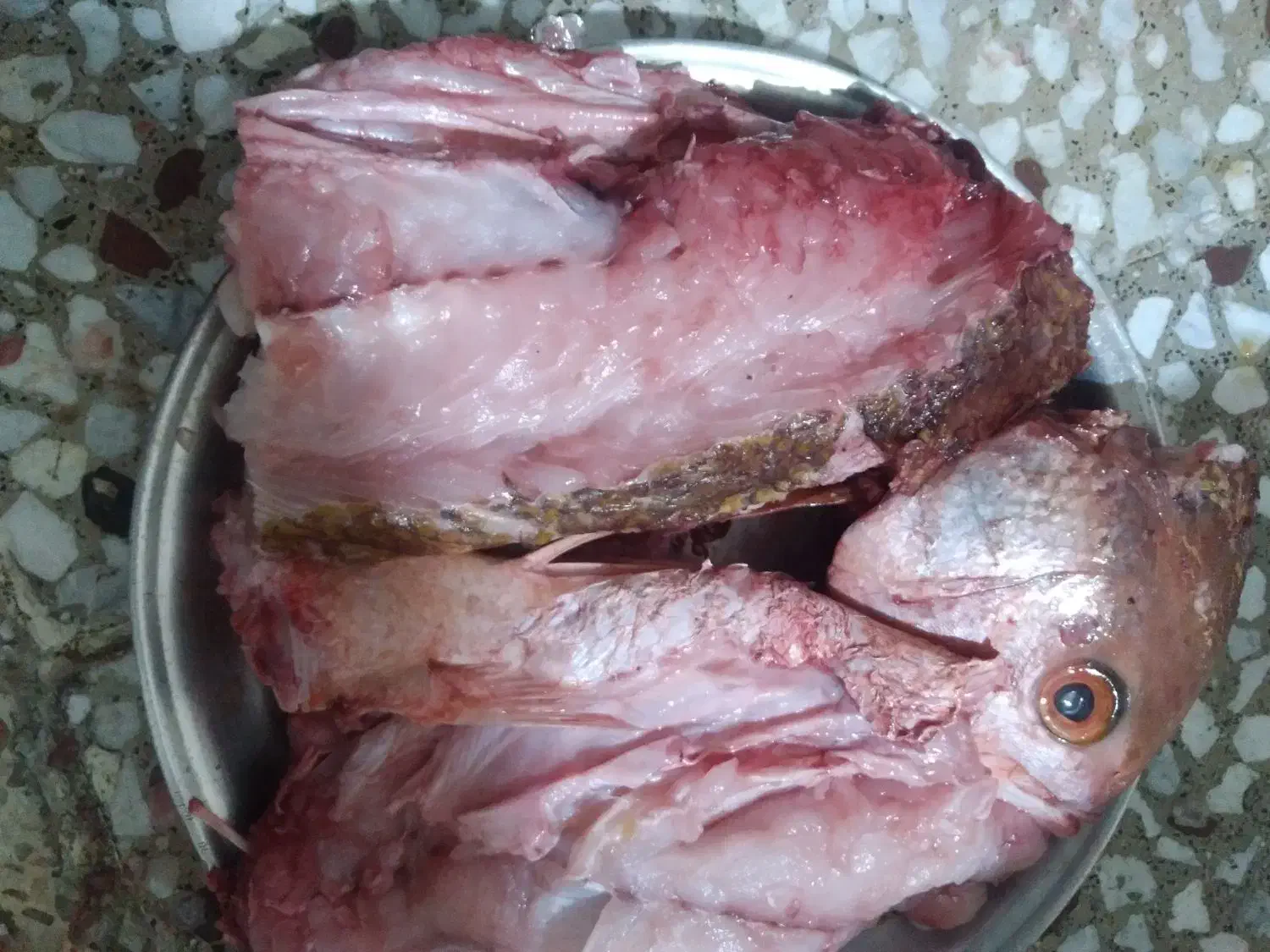 ماهی|ماهی|برازجان, |دیوار