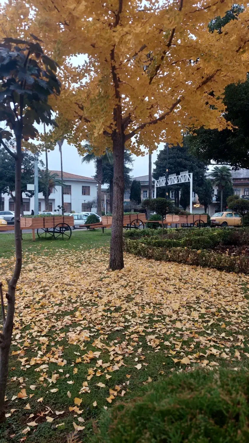 آموزش حسابداری و نرم افزار به ساده ترین شکل|خدمات آموزشی|رودسر, |دیوار