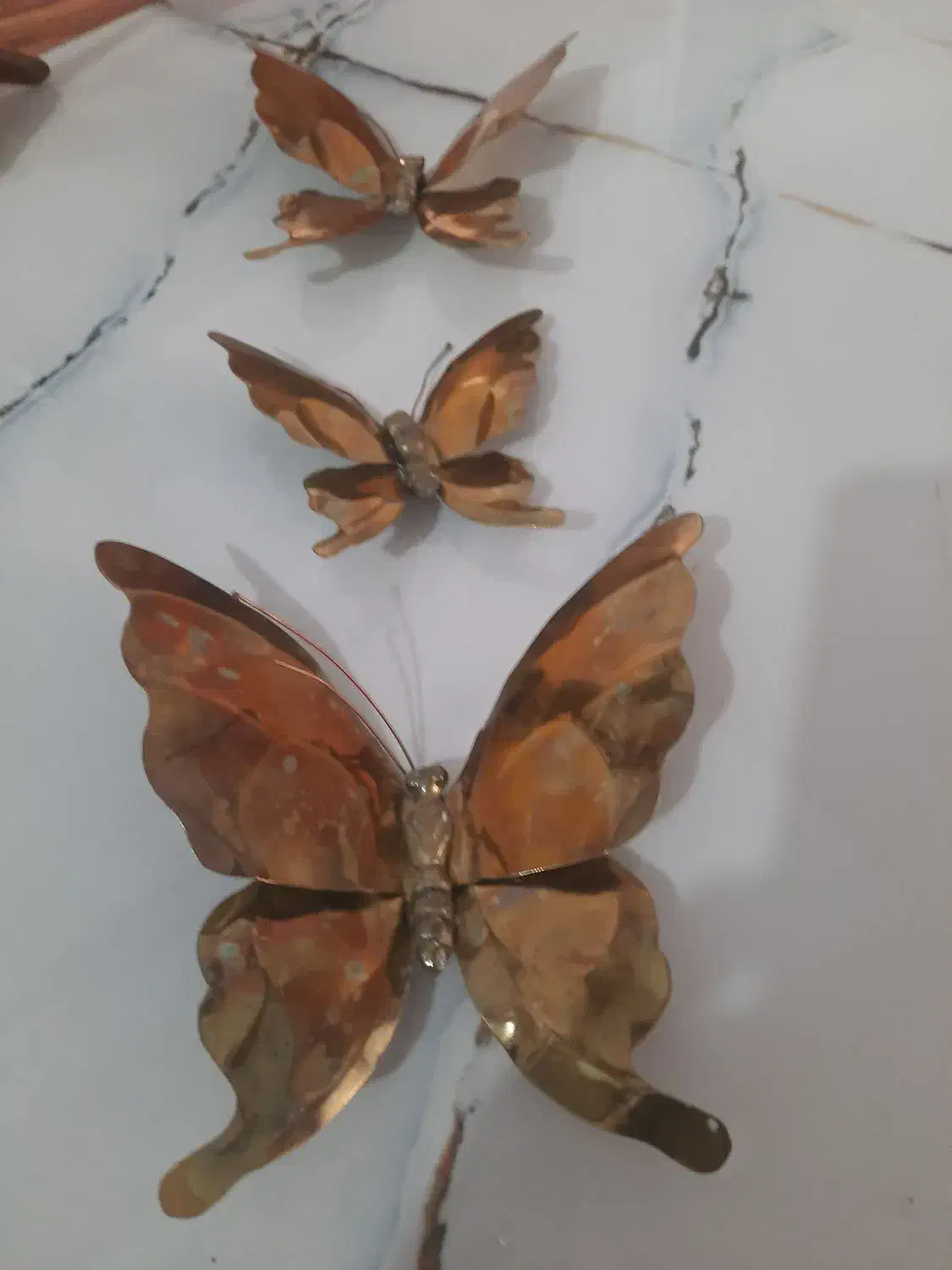 سلام مسی سالم|کلکسیون اشیاء عتیقه|بندر دیر, |دیوار