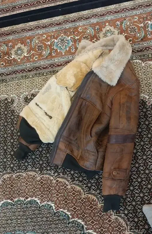 بوفالو|لباس|اردبیل, |دیوار