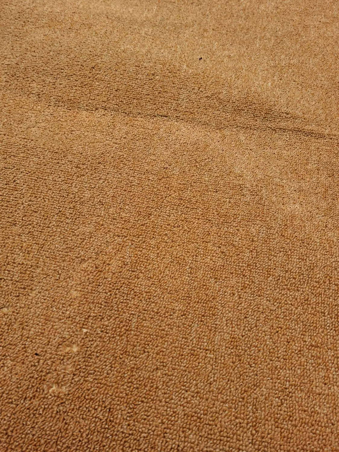 موکت|موکت|رشت, گلزاران|دیوار