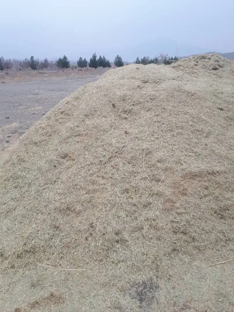 کاه یونچه|گل و گیاه طبیعی|ایواوغلی, |دیوار