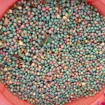 بنه کوهی|خوردنی و آشامیدنی|شیراز, زند|دیوار