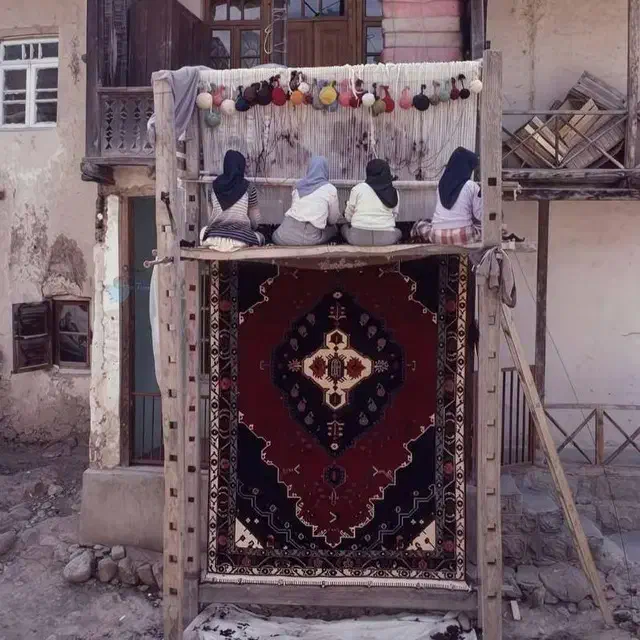 فرش 12متری نو|فرش|پردیس, فاز ۸|دیوار