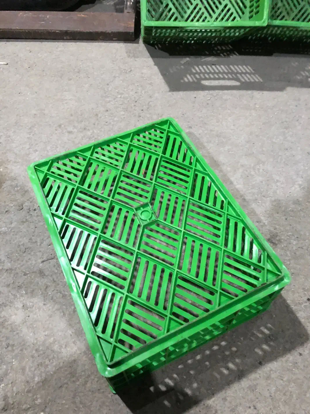 سبد پلاستیکی ماستی میوه گوشتی|ظروف نگهدارنده، پلاستیکی، یکبارمصرف|فلاورجان, |دیوار