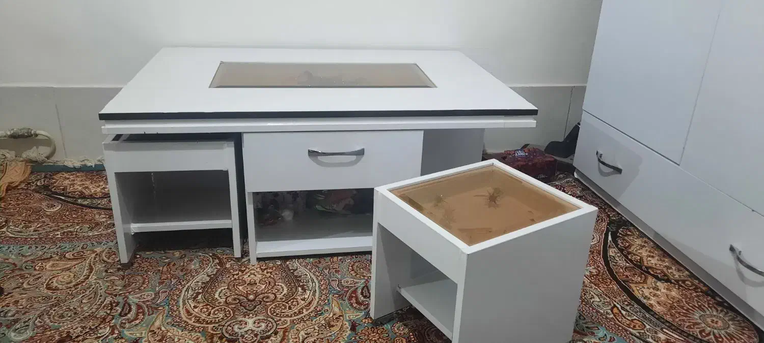 میز جلو مبلی و عسلی|مبلمان خانگی و میز عسلی|قم, کلهری|دیوار