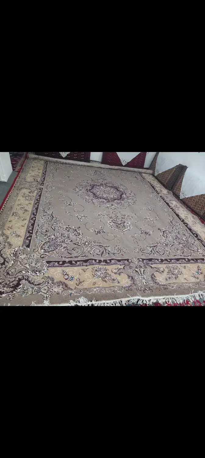 فرش|فرش|مشهد, ایثارگران|دیوار