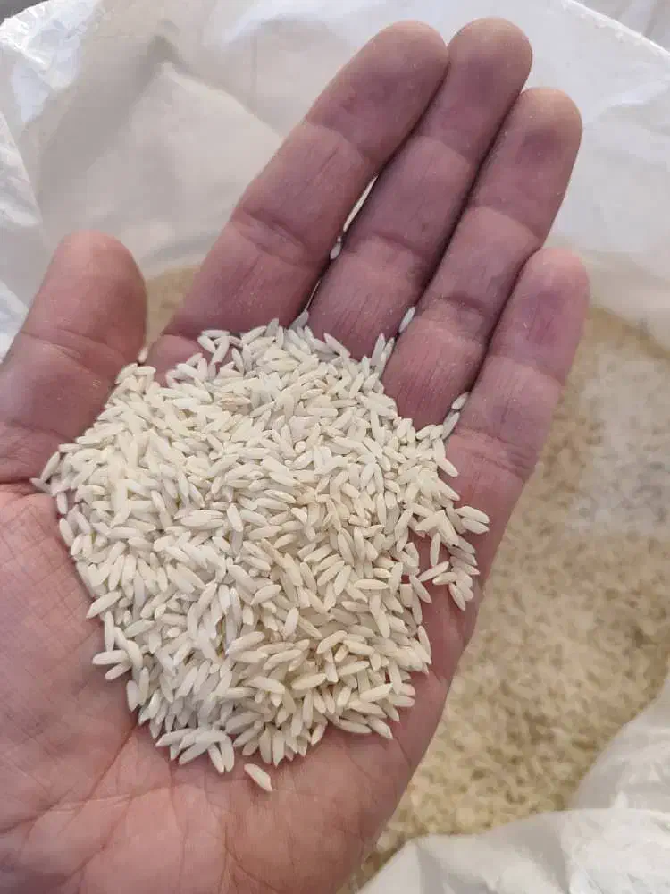 برنج علی کاظمی لرستان|خوردنی و آشامیدنی|رباطکریم, رباطکریم|دیوار