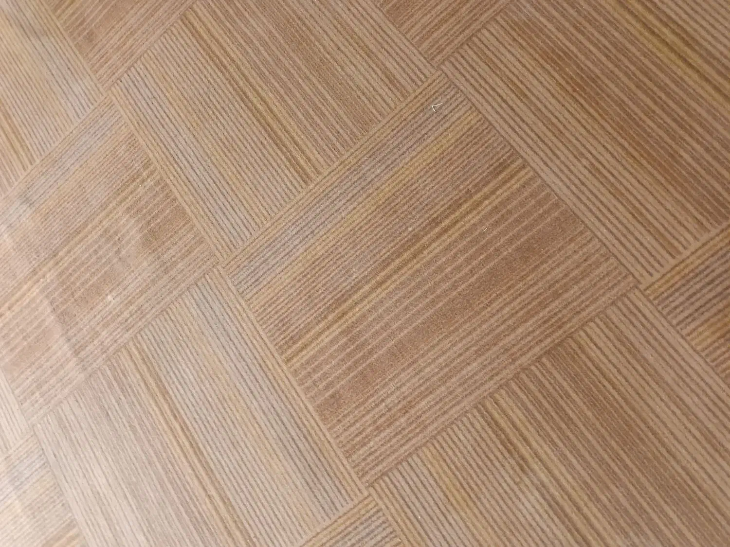 موکت|موکت|همدان, |دیوار