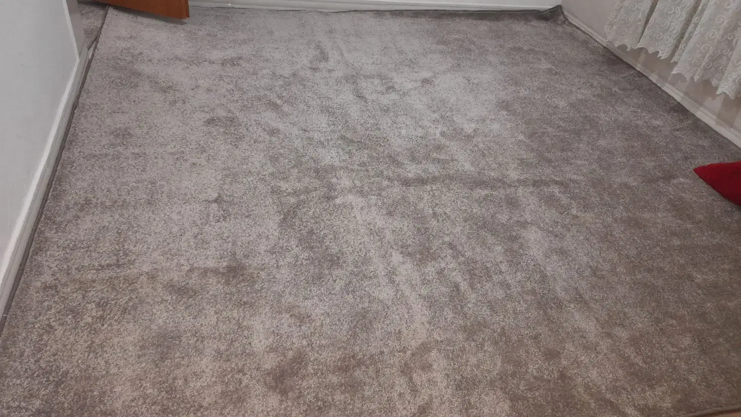 پالاز موکت|موکت|کرمانشاه, |دیوار