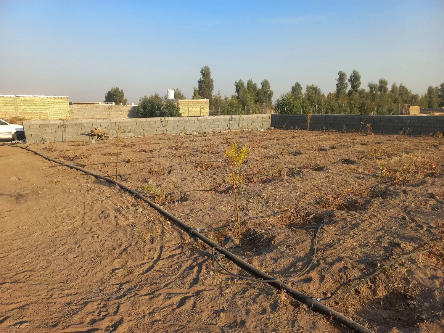 باغچه ۵۱۰ متری|فروش زمین و ملک کلنگی|قنوات, |دیوار