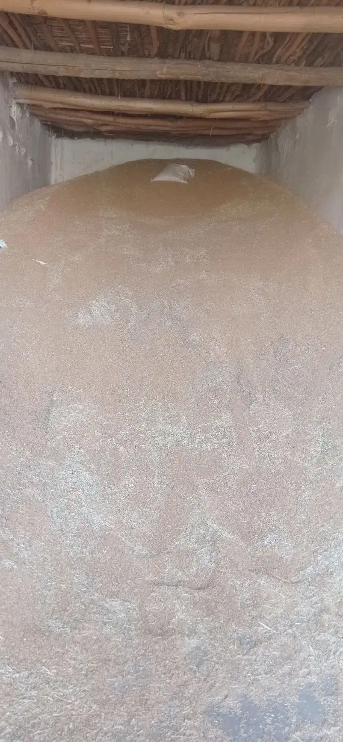 گندم دیمی|عمده‌فروشی|حسین آباد, |دیوار